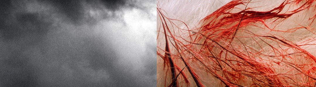 The Sky Above; the Mud Below