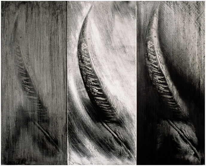 Triptych Horn and Rope
